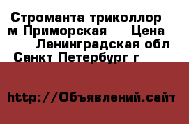 Строманта триколлор , м.Приморская . › Цена ­ 150 - Ленинградская обл., Санкт-Петербург г.  »    